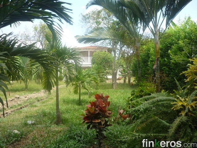 TULUA EN TRES ESQUINAS SE VENDE CASA CAMPESTRE   - Finca en Tuluá, Valle del Cauca